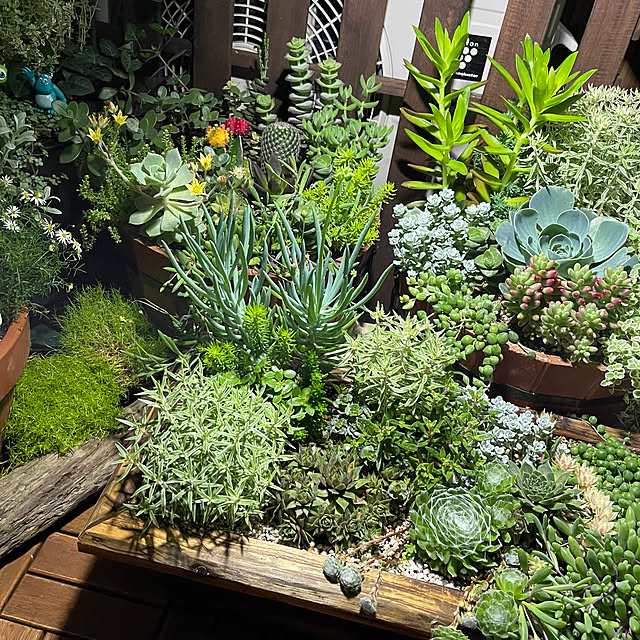 mamanさんの部屋