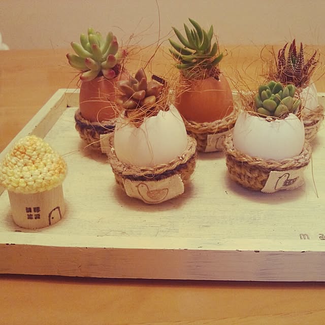 mahaloさんの実例写真