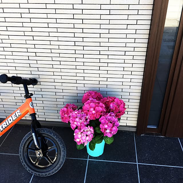 ozwさんの実例写真