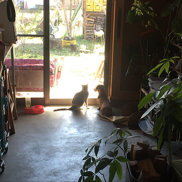 papikoさんの実例写真