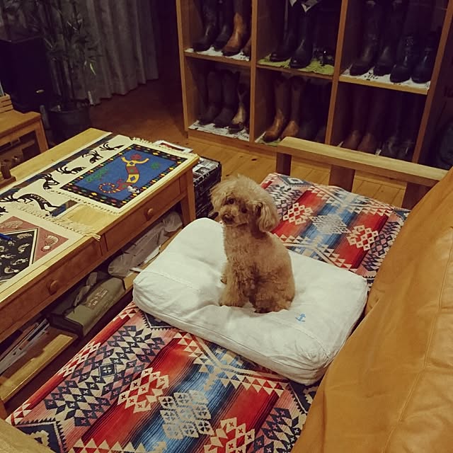 ryosukeさんの実例写真