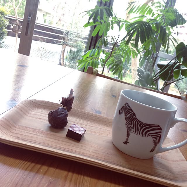 hiroさんの実例写真