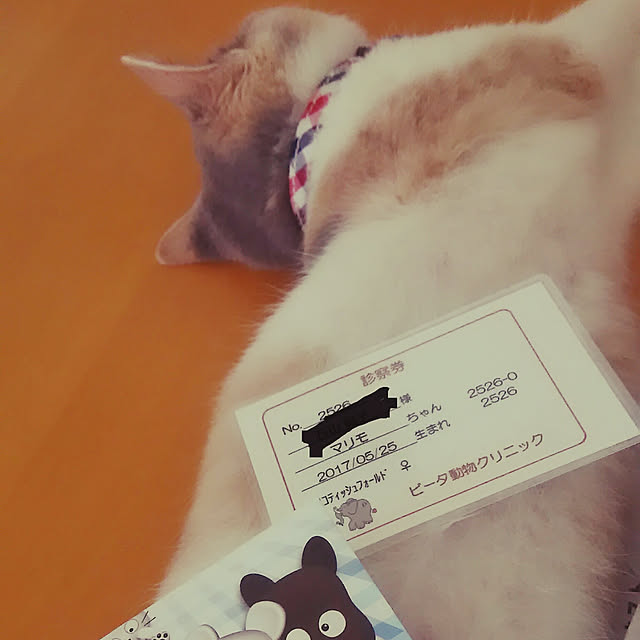 2006jsyさんの実例写真