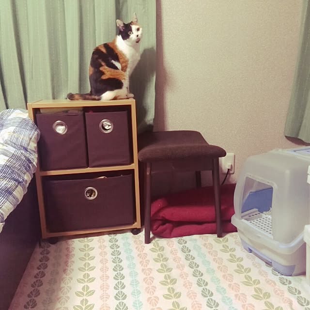 実例写真