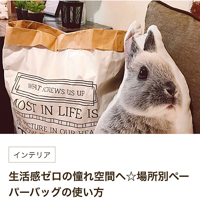 USAGiNさんの実例写真