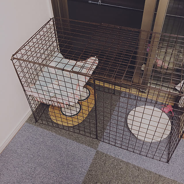 Asukaさんの実例写真