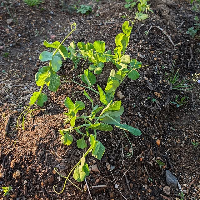 fuchan0930さんの部屋