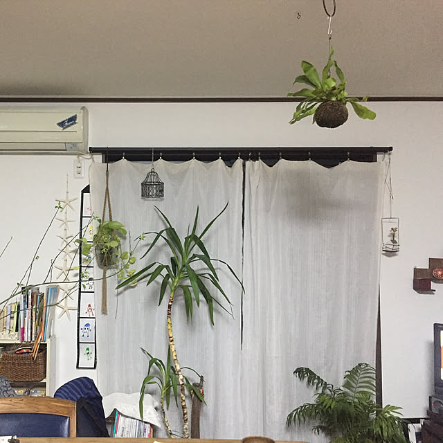 fumiさんの実例写真