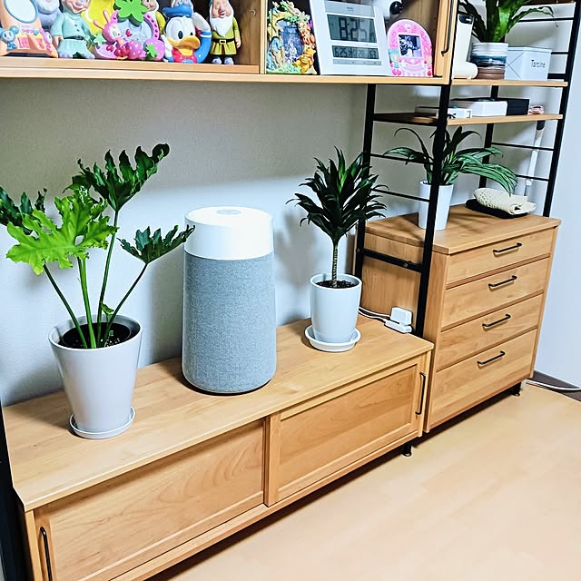 hanachanさんの部屋