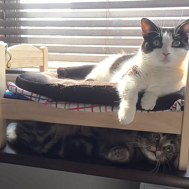 neuruさんの実例写真