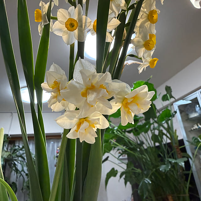 Aqettyさんの部屋