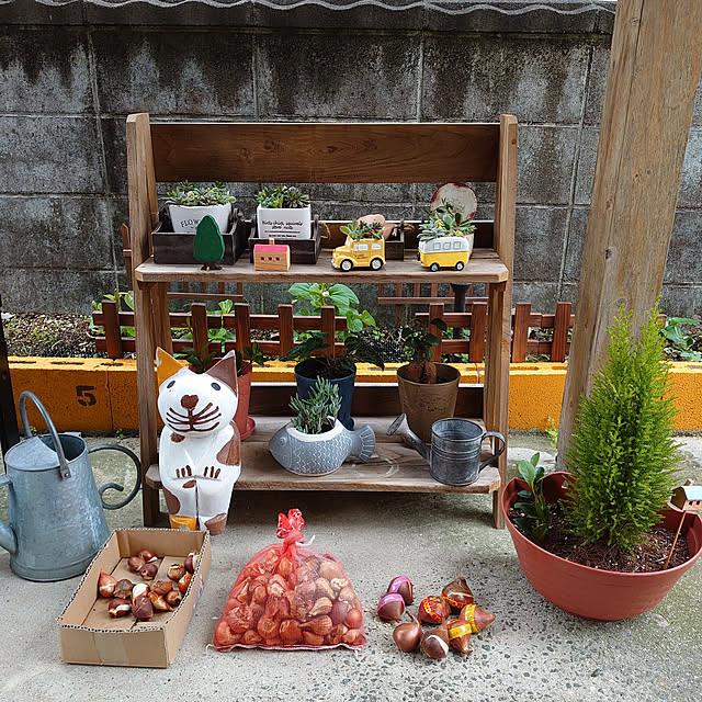 fukuさんの実例写真