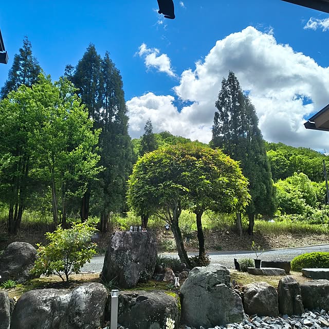 Rubiconさんの部屋