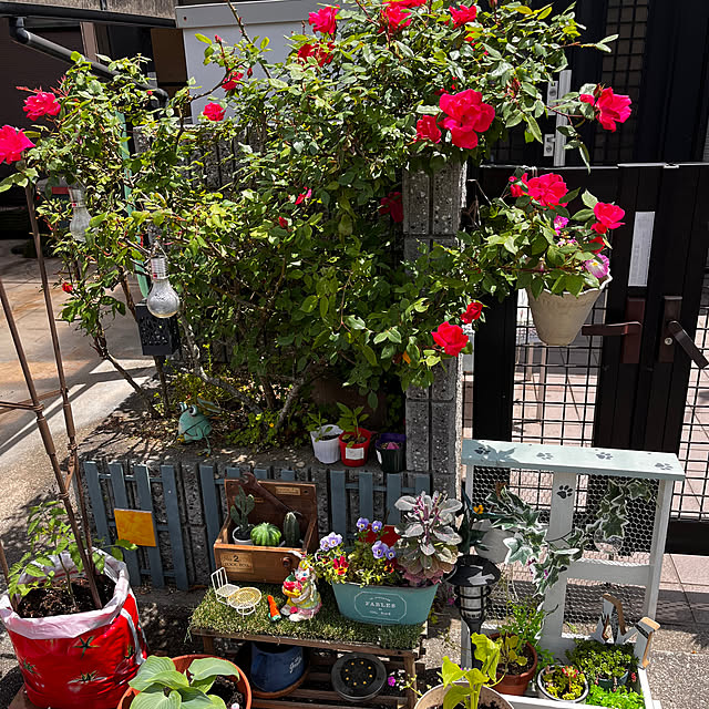 jijiさんの部屋