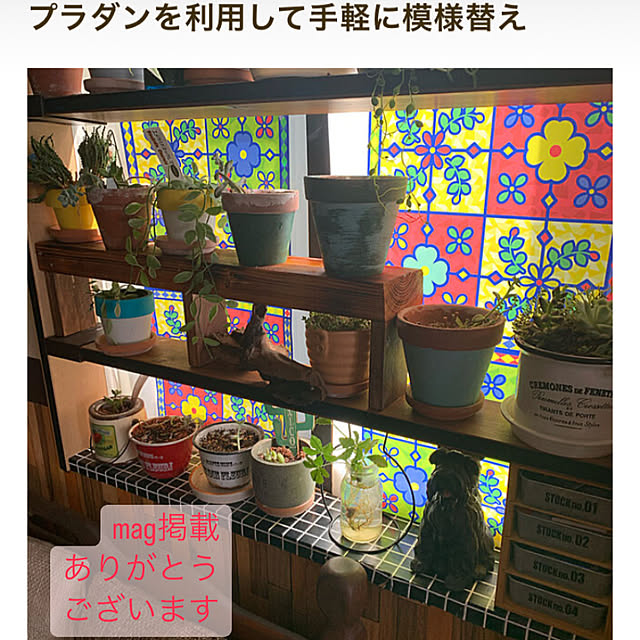 Fumiさんの実例写真