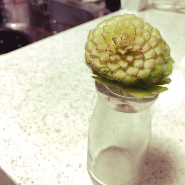 BONBOTANYさんの実例写真