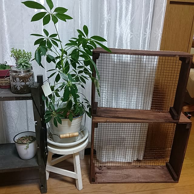 nozaさんの実例写真