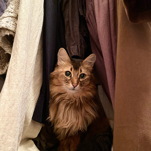 yuri.sさんの実例写真