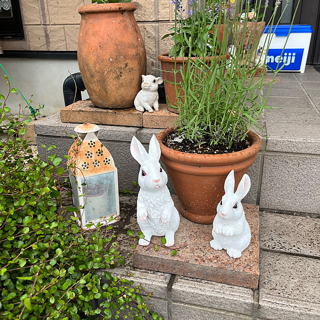 ritsukoさんの部屋