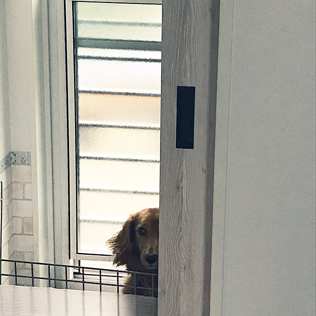Nicoleさんの実例写真