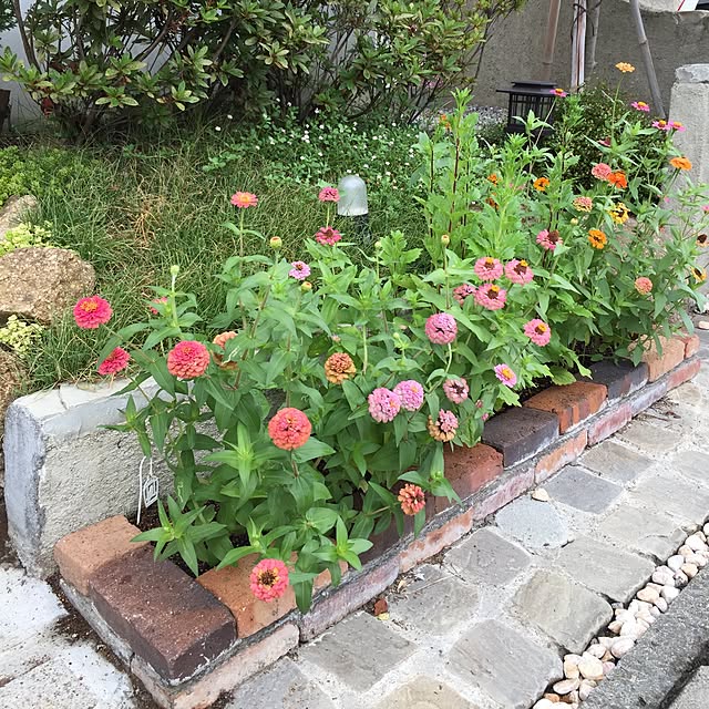 norikoko310さんの実例写真