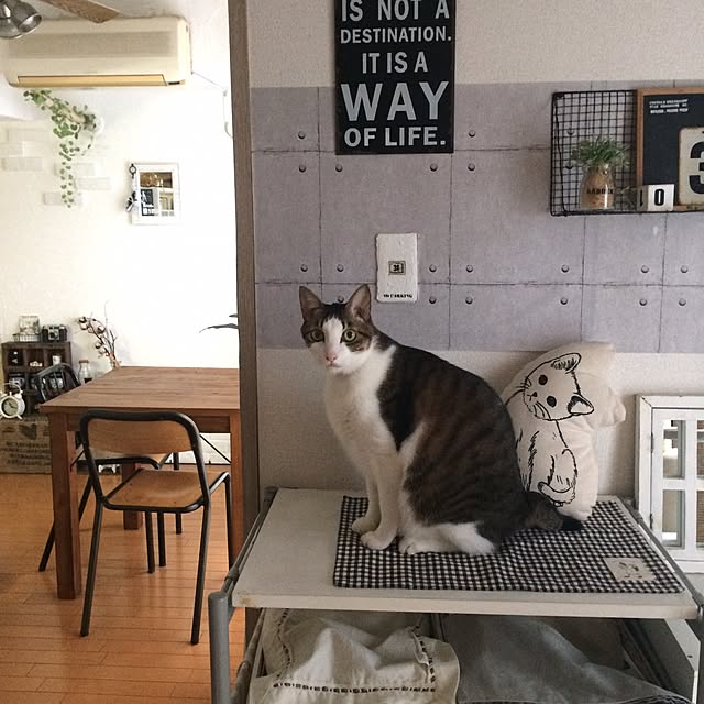 hiroko_ssnさんの実例写真