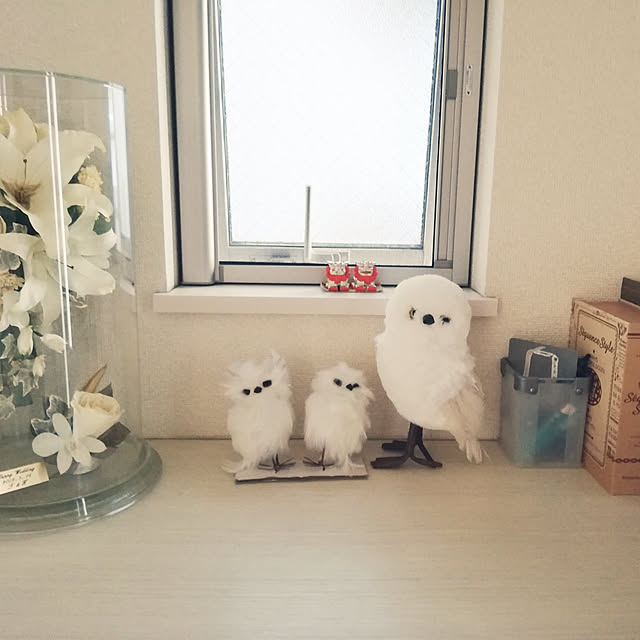 aneさんの実例写真