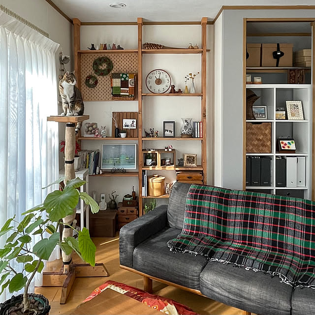 nobikoさんの部屋