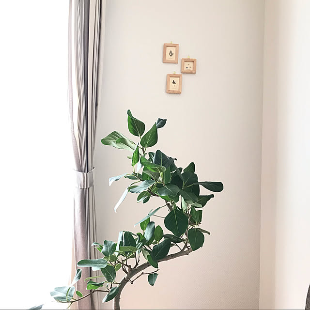 mamikoさんの実例写真