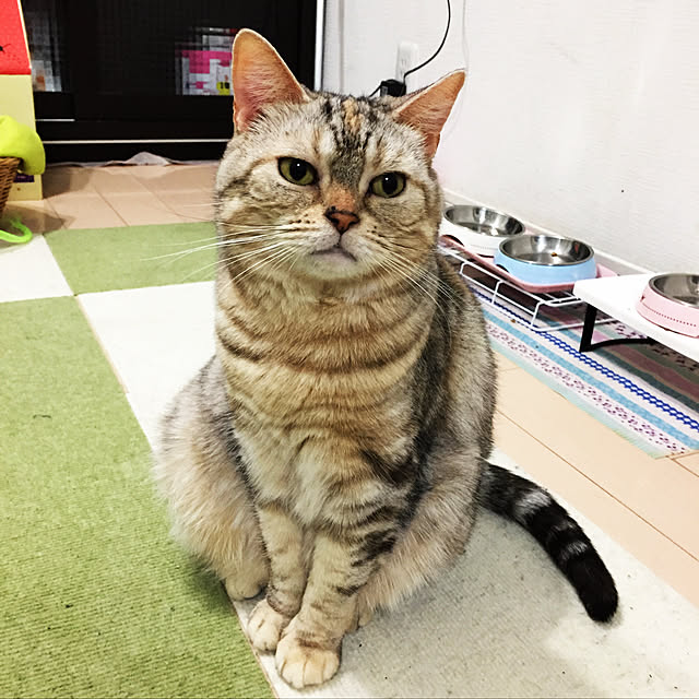 pansanさんの実例写真