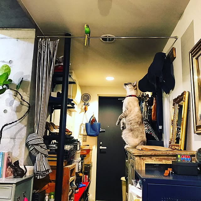 Naoki.さんの実例写真