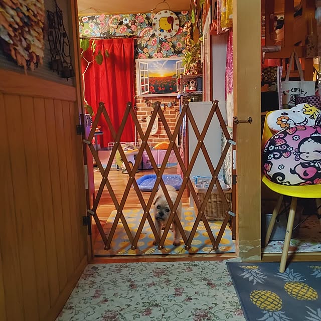 kumutanさんの実例写真