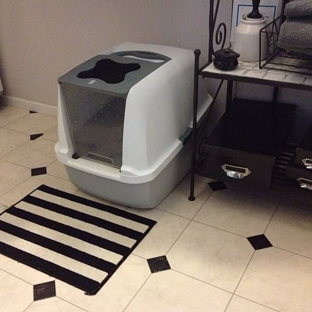 Q-Mさんの実例写真