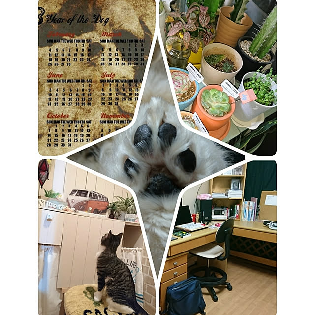 Reiさんの実例写真
