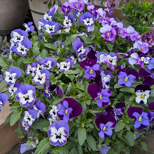 mofukoさんの部屋