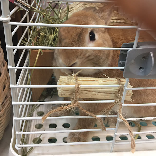 Yasuyukiさんの実例写真