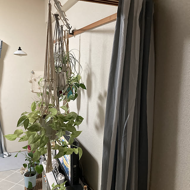 Chikuwaさんの実例写真