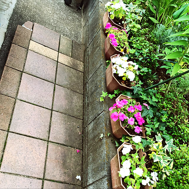 KYONさんの実例写真