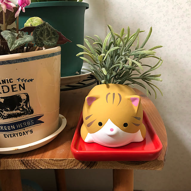PANDAKOPANDAさんの実例写真