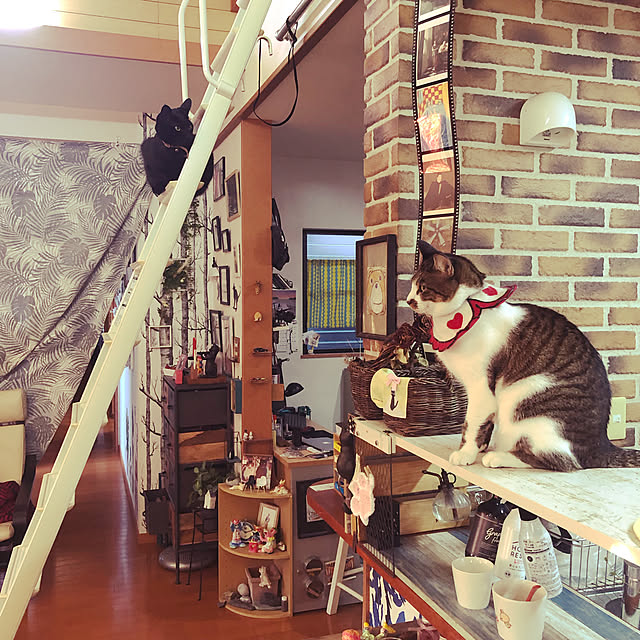 jijiさんの実例写真