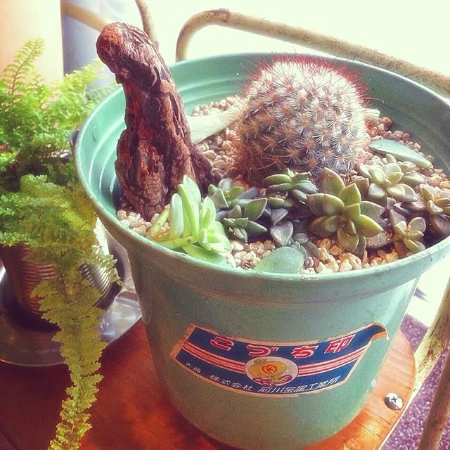 minomonさんの実例写真