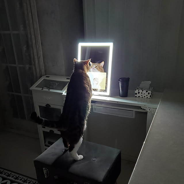 soratotetoさんの実例写真