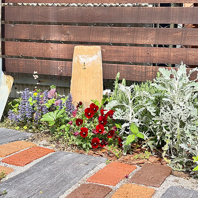 mami3さんの部屋