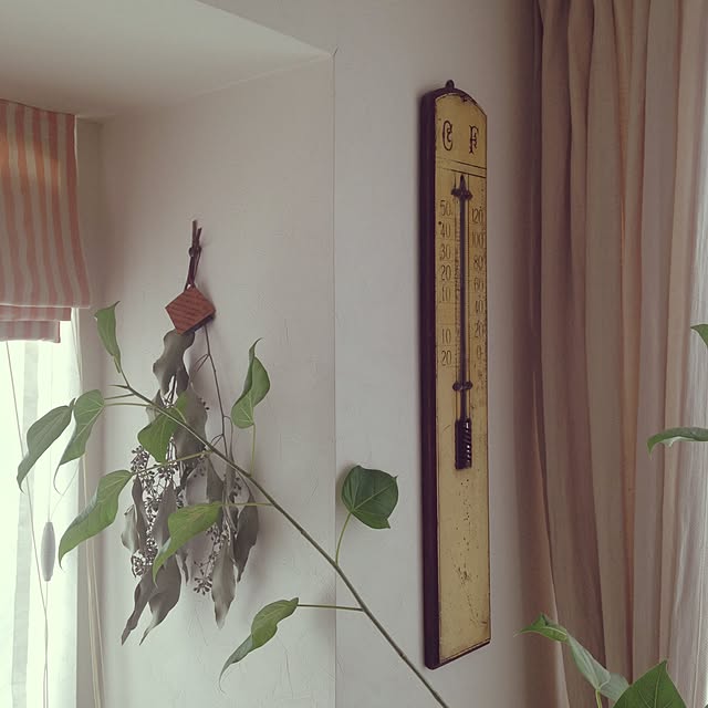 amucoさんの実例写真