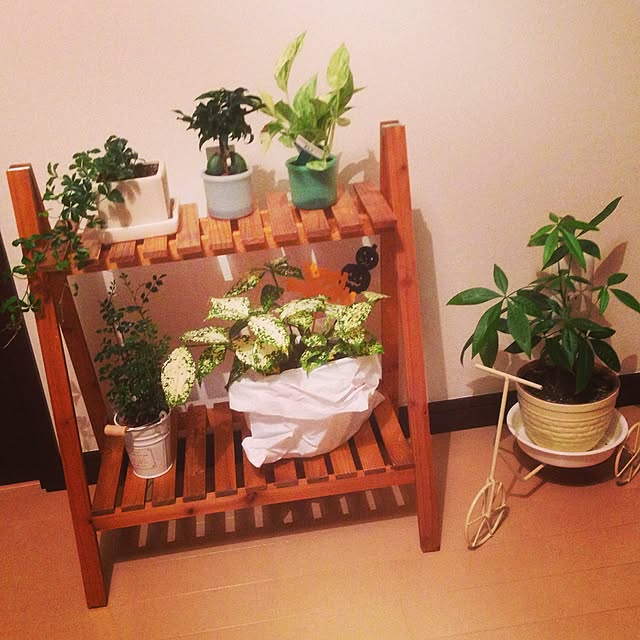 minaさんの実例写真
