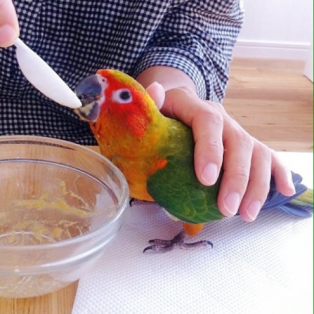 Atsushiさんの実例写真