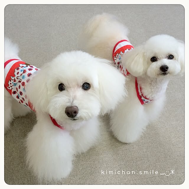 kimichan.smileさんの実例写真