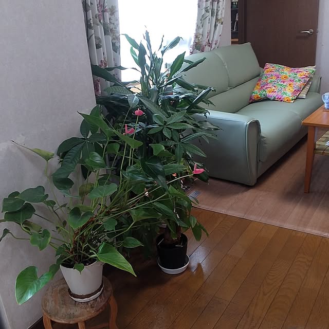 tomoko.tk1130Tomさんの実例写真