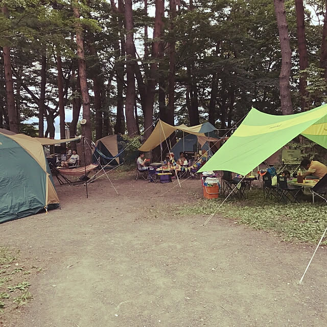 favoriさんの実例写真