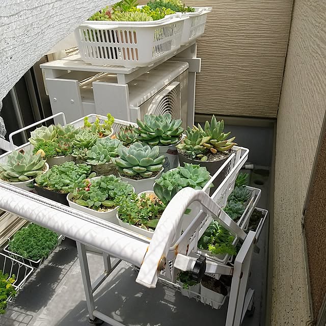 meiさんの部屋